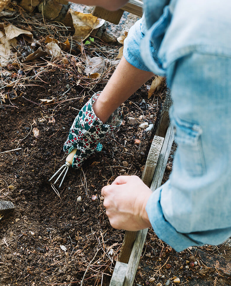 — About Garden Design — About Garden Design