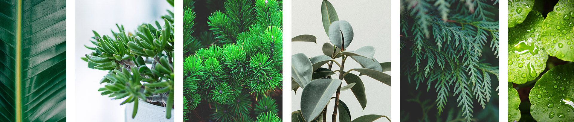 — About Garden Design — About Garden Design