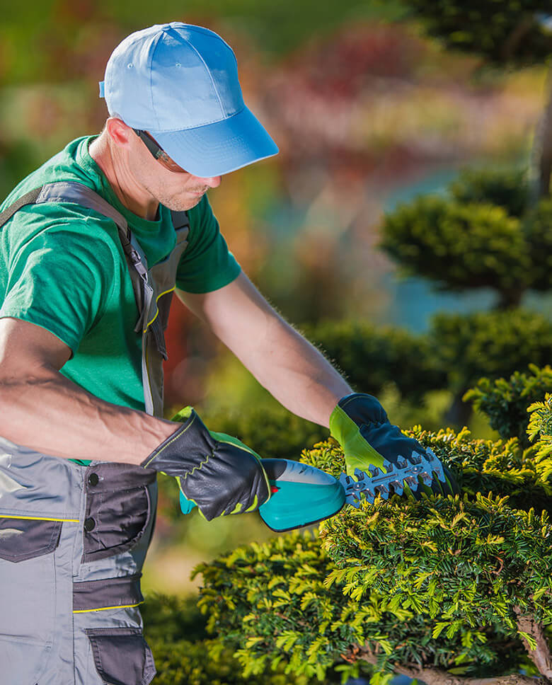 — About Garden Design — About Garden Design